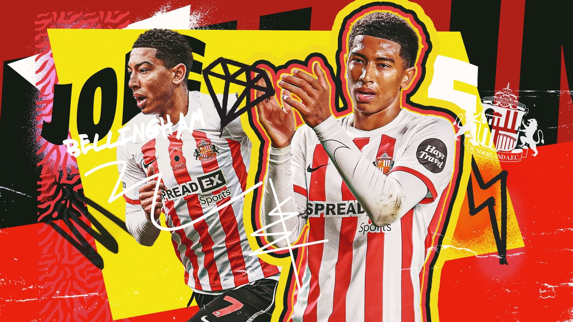 贡献了稳定 贡献了稳定