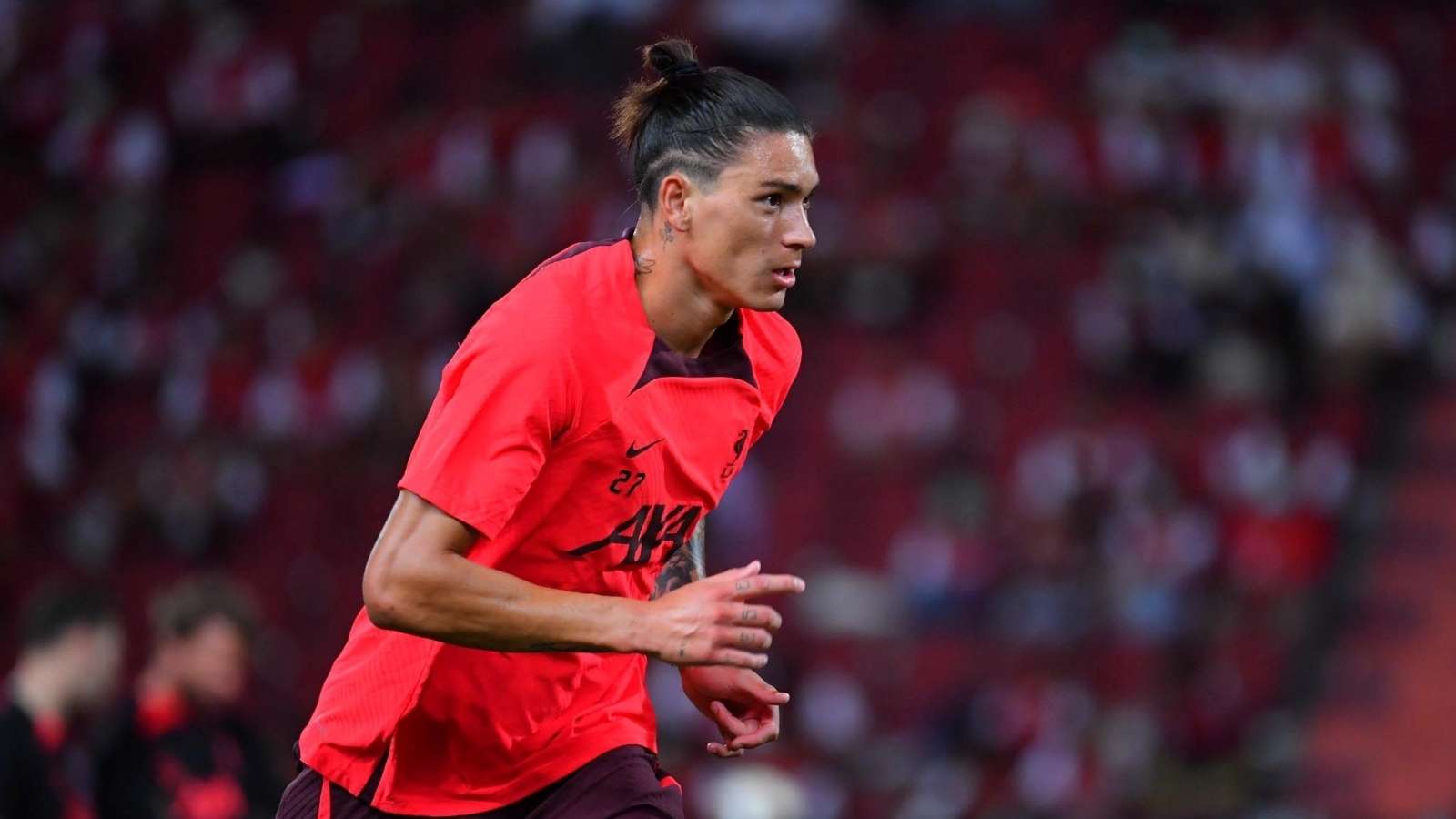 注和支持 注和支持