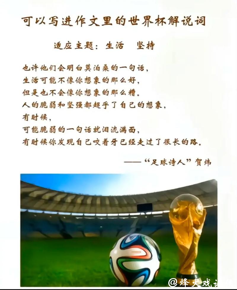 世界杯投注趣闻：成功的投注故事