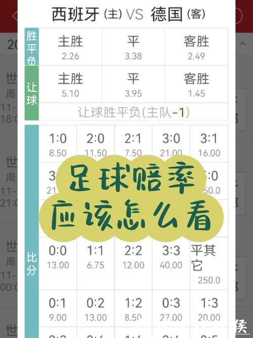 世界杯正规竞猜平台专业赔率解析